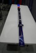 Dynastar Speed CRS Team WC GS R22 182 Skis.