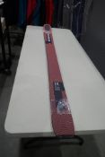 Kastle ZX100 181 Skis.