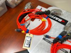 Lot of (2) Work Lights