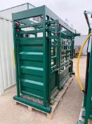 Empty Industrial 10’ Cattle Work Chute F320