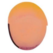 § Trevor Bell (1930-2017) Silver to Orange