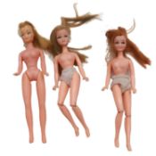 Three Pippa dolls, including 'Tammie' and two blond dolls.