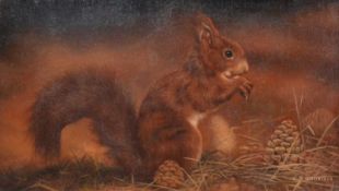 § Carl Whitfield (British, b. 1958) Red Squirrel
