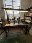 Multi Head Drill Press (E2292)