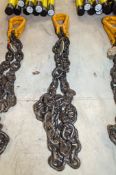 Single 13mm Grade 8 lifting chain