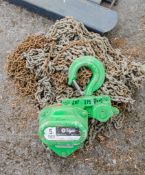 Tiger 5 tonne chain block A979283