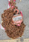 William Hackett 1 tonne chain block