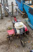 Petrol driven rotavator ROM524