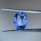 Sapphire Blue Oval Shape 7.55 Carat Slightly included ( Sri Lanka Origin ) ( Natural )
