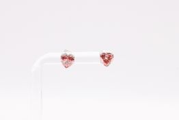 Heart Cut 2.00 Carat Fancy pink Diamond Earrings VS2 Clarity - 18k White Gold - IGI certificate