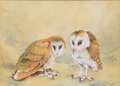 Christopher Hughes (b.1955) Three Ornithological Watercolours
