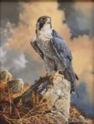 Adrian Rigby (b.1962) A Collection of signed limited edition Wildlife Prints