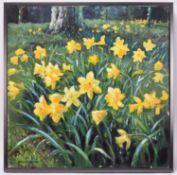 James David Preston (b.1946) Daffodils in the Woodlands