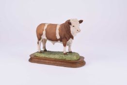 Border Fine Arts Simmental Bull, model L18