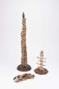 Anatomy: A human spinal column and foot, 19th century, with a section of animal vertebrae