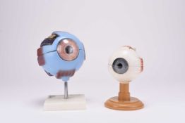 Anatomy: Two late 20th century teaching models of eyeballs (2)