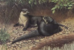 Adrian Rigby (b.1962) Large Quantity of Signed Prints 'Otters' Ex Gallery Stock