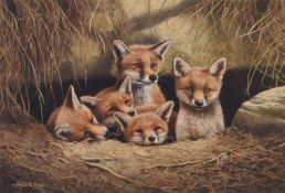 Adrian Rigby (b.`1962) Large Quantity of Signed Limited Edition Prints of Foxes