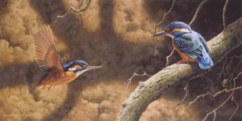Adrian Rigby (b.1962) Large Quantity of Signed Prints Robin and Kingfisher, Ex Gallery Stock