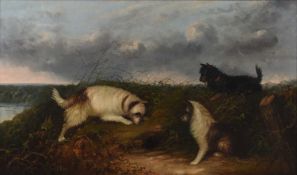 J Langlois (c.1855-1904) A Large Oil of Terriers at a Rabbit Hole