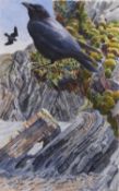 Michael Warren (Irish b.1938) Ravens