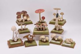 A collection of Adam Rouilly models of fungi by Somso