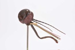 An Adam Rouilly model 'Head of Gnat' by Somso