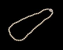 Perlenkette, 61 Akoyaperlen 6,5-6,9 mm, Schließe 750er Weißgold, 6 Saphire, durchgeknotet,
