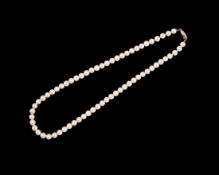 Perlenkette, 65 Akoyaperlen, Verschluß 585er Gold, Gesamtgewicht ca. 23,9 g, Länge ca. 43 cm