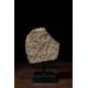 NORTHERN QI MARBLE HEAD 6TH CENTURY CHINA - Bild 4 aus 7