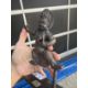 RARE VAJRAPANI BRONZE TIBET 19TH CENTURY - Bild 13 aus 13