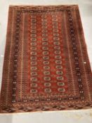 Carpets/Rugs: