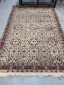 Rugs & Carpets:
