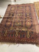 Rugs & Carpets:
