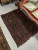 Rugs & Carpets: