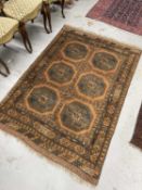 Rugs & Carpets: