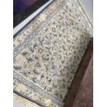 Rugs & Carpets: