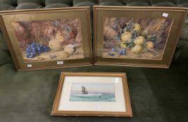 Pictures: