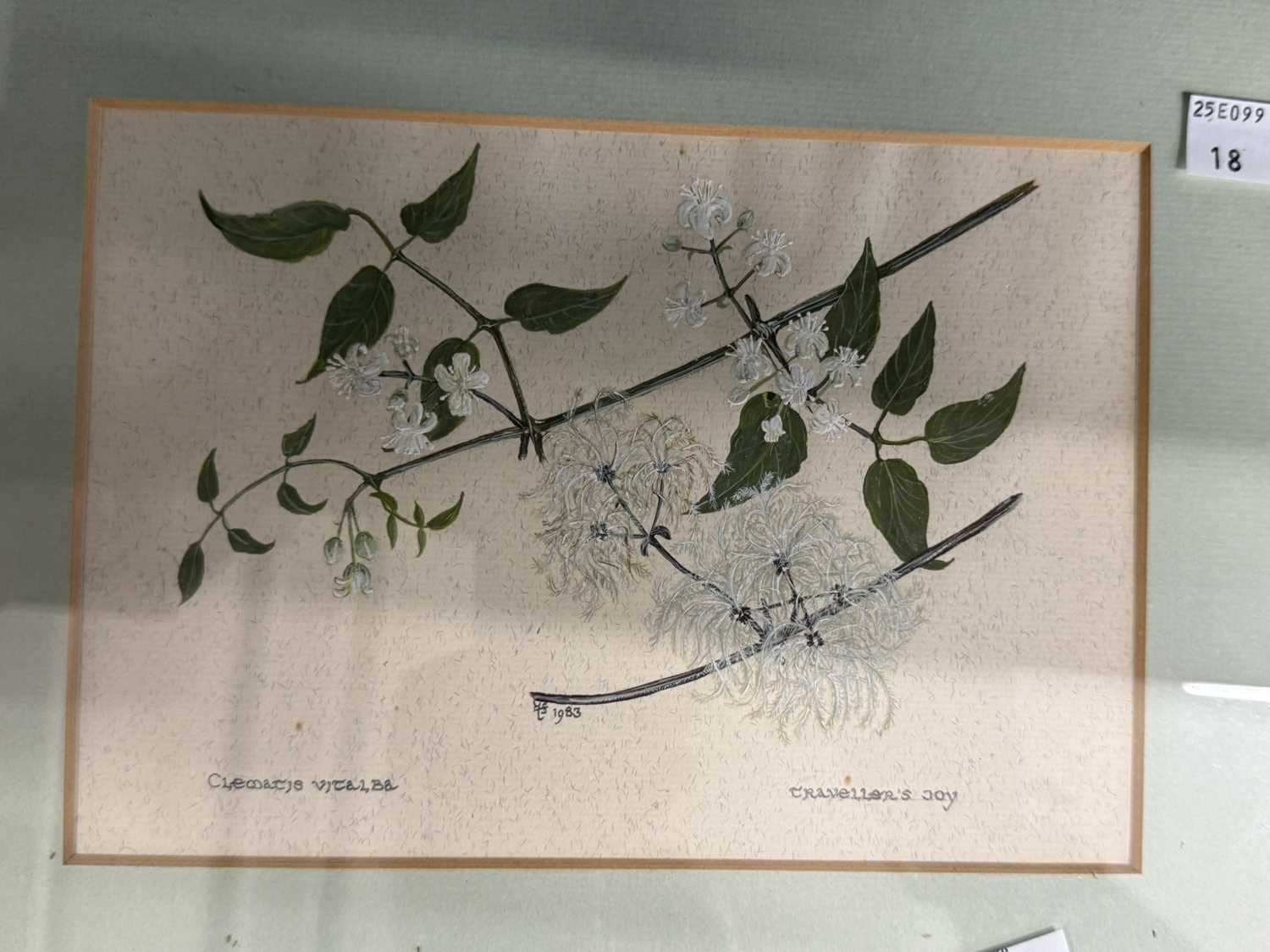 Pictures: - Image 3 of 4