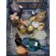 Glassware: - Image 1 of 3