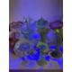 Glassware: - Image 1 of 4