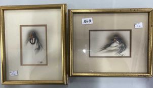 Pictures: