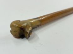 Walking Sticks & Canes: