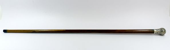 Walking Sticks
