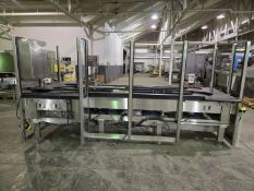 4-Section Bi-Flow Conveyor