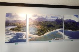 Hawaiian Island Paintings