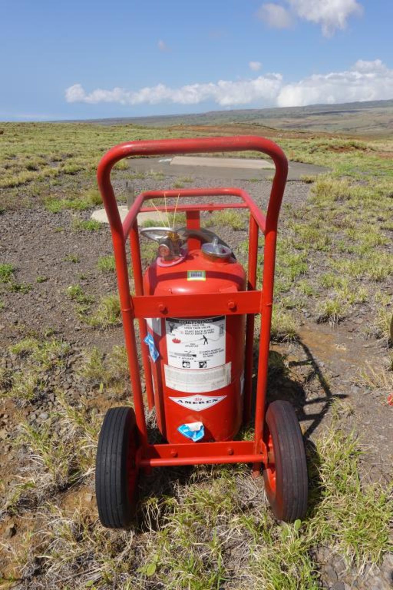 Wheeled Dry Chemical Extinguisher, 150 lb. - Image 5 of 12