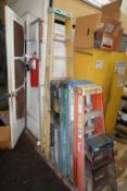 Assorted Shop Ladders