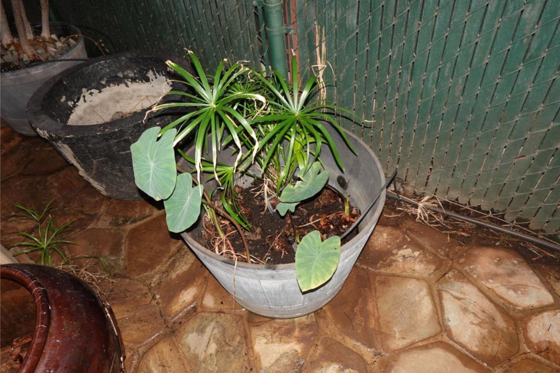 Patio Seating Benches And Potted Plants - Image 17 of 18