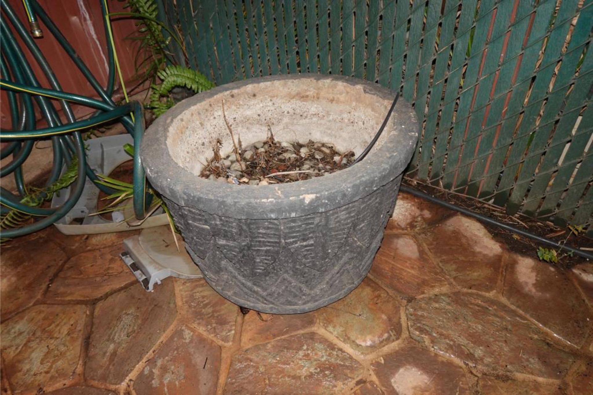 Large Palms & Clay Type Pots - Image 7 of 8